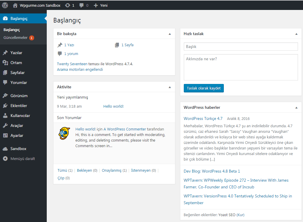wordpress yonetim ekrani