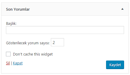 wp fastest cache widget no cache