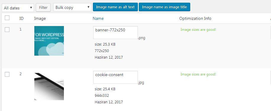 wp meta seo resim boyutlandırma