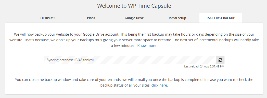 wp time capsule tam ilk yedekleme