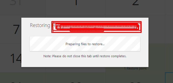 wp time capsule yedek işlemi