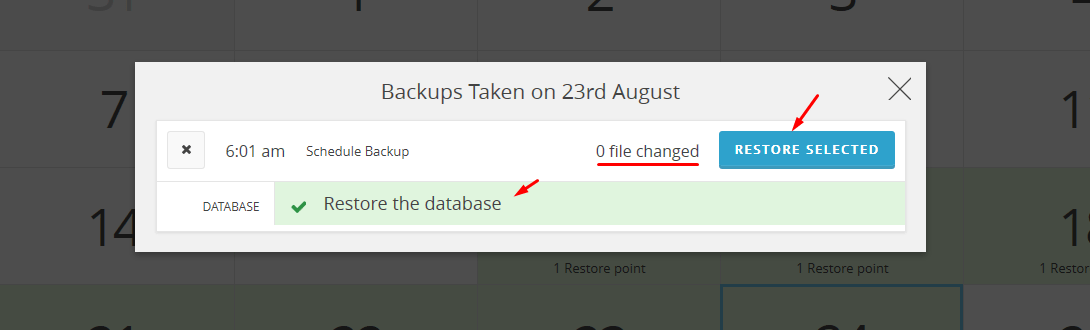 wp time capsule geri yükleme