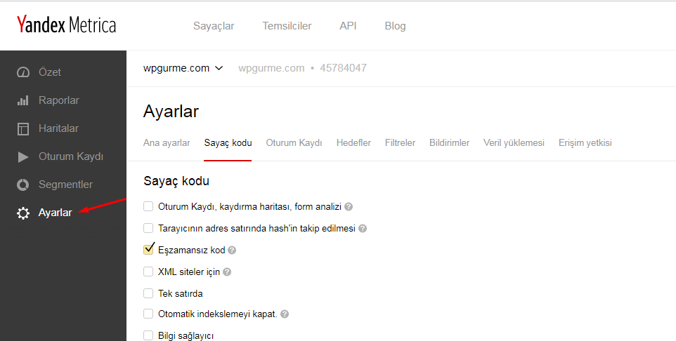 yandex metrica ayarlar sayfası